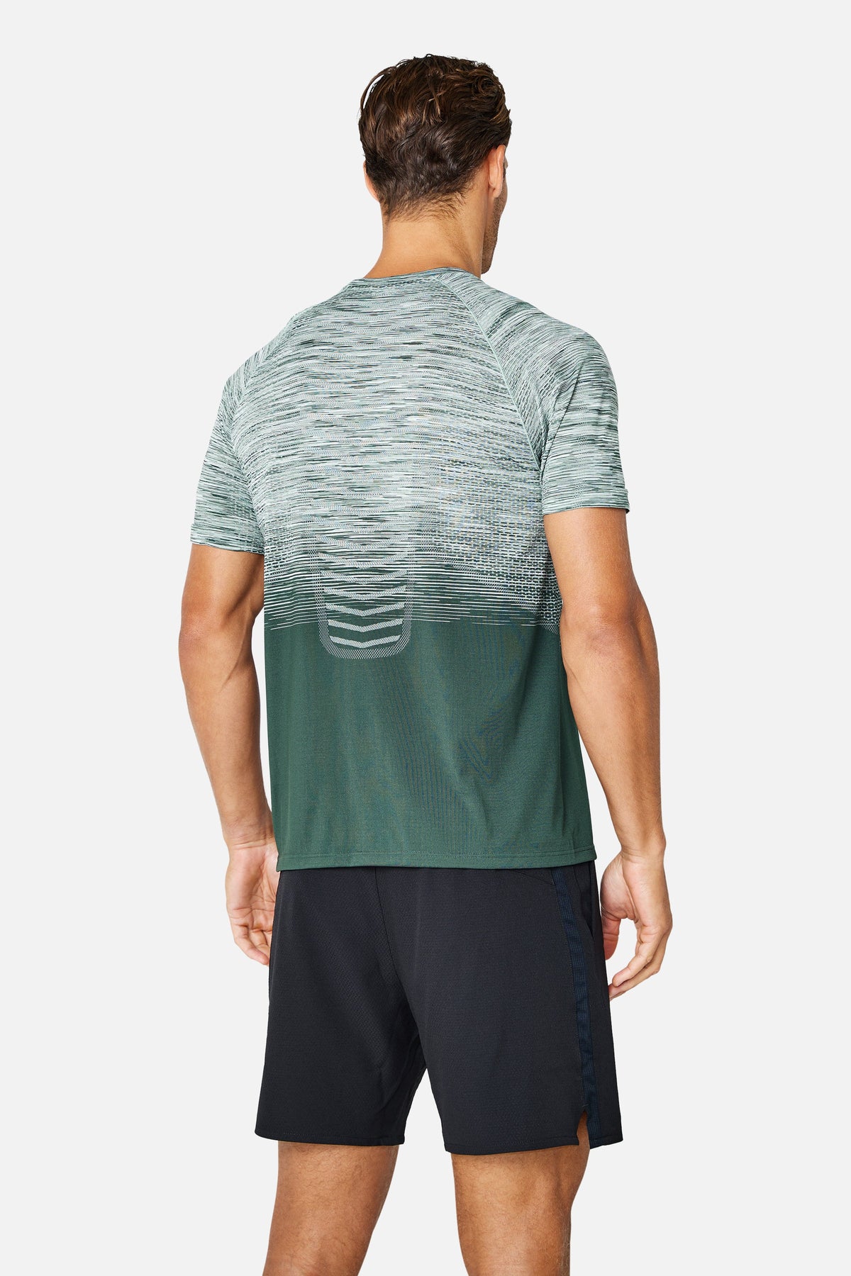 Arc Seamless 2.0 Tee - Everveil/ Wild Grove/ Frosted Leaf/ Icewall White